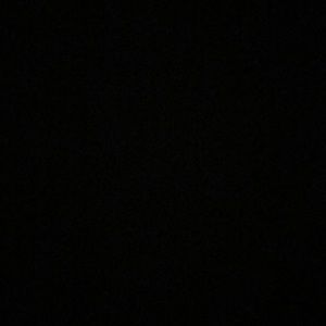 Meet your Posher, Abigail